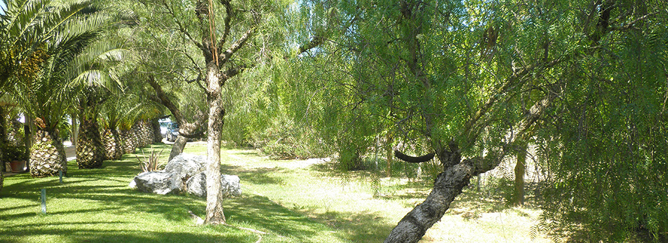 herdade-rangina-nova-alentejo-exterior2