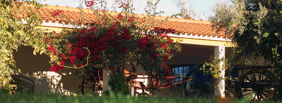 herdade-rangina-nova-alentejo