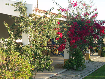 quinta-casamento-alentejo